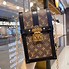 Image result for Louis Vuitton Phone Cases iPhone 12 Pro Max
