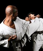 Image result for Shotokan Punches