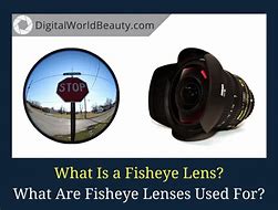 Image result for What Is Fish Lens