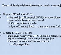 Image result for co_to_znaczy_zwyrodnienie_wielotorbielowate_nerek
