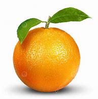 Image result for 1 Inch Orange Fruit
