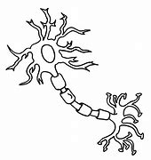 Image result for Cartoon Brain Neurons