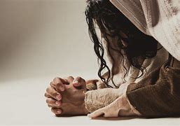 Image result for prays