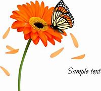 Image result for Butterfly Border Templates Free