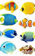 Image result for Types of Fish Clip Art