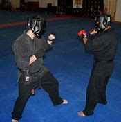 Image result for Ninja Martial Arts