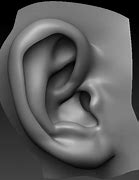 Image result for 3D Color Ears