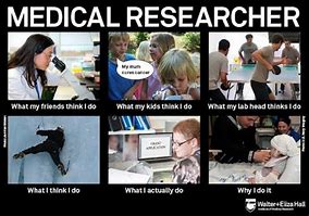 Image result for Funny Research Memes