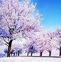 Image result for Winter Nature Wallpaper HD