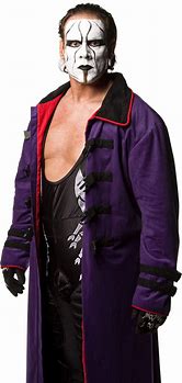 Image result for Sting Wrestler Face PNG