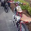 Image result for Bicycle Gas Powered Bike