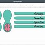Image result for Faux Leather Keychain SVG Template