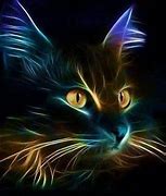 Image result for Cool Cat Art