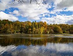 gallup park 的图像结果