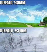 Image result for Buffalo New York Memes
