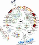 Image result for 5S Diagram