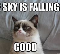 Image result for Sky Is Falling Meme