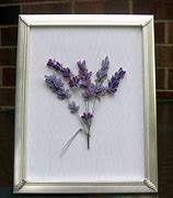 Image result for Lavender Abstract