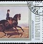 Image result for Old Horse Pics