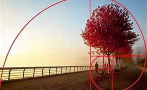 Image result for Golden Ratio Grid Photography