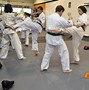 Image result for Kyokushin Karate Belt Ranks