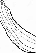 Image result for Squash Blossom Outline Vector Black and White