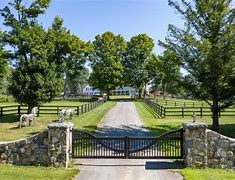 Image result for New York Horse Farms