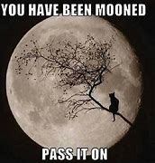 Image result for Cat Moon Meme
