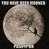 Image result for Moon Cat Meme