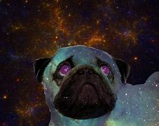 Image result for Space Pug
