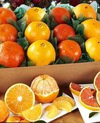 Image result for Orange Varieties