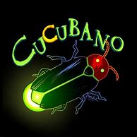 Image result for cucubano