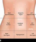 Image result for 9 Abdominal Regions Abdomen