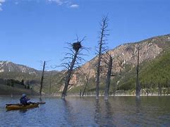Image result for Earthquake Lake Montana Fishing