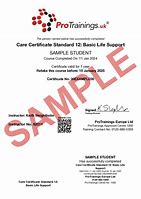 Image result for Basic Life Support Certificate