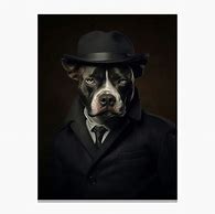 Image result for Gangster Terrier