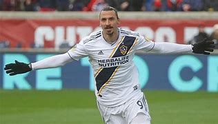 Image result for Zlatan Ibrahimovic MLS Cup