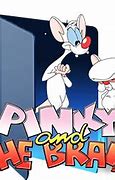 Image result for Pinky and the Brain Theme