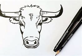 Image result for Realistic Bull Head Drawing