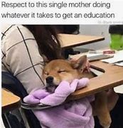 Image result for Wholesome School Memes