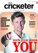 Image result for Cricketer Figures for Advertising