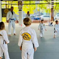 Image result for The Best Martial Arts for Kids