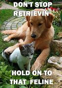 Image result for Don't Stop Retrieving