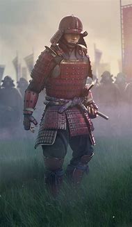 Image result for Ninja Samurai