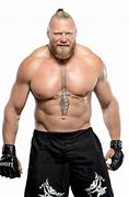 Image result for Brock Lesnar Back