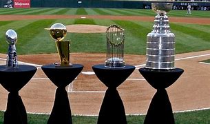 Image result for Professional Sports Trophy