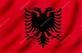 Image result for Kosovo Flag Vector File