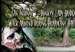 Image result for Donkey Lady Bridge Attack