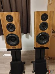 Image result for Bryston Mini T Speakers
