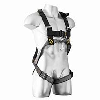 Image result for Full Body Climbing Harness